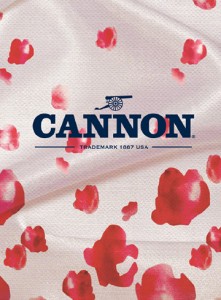 cover_cannon